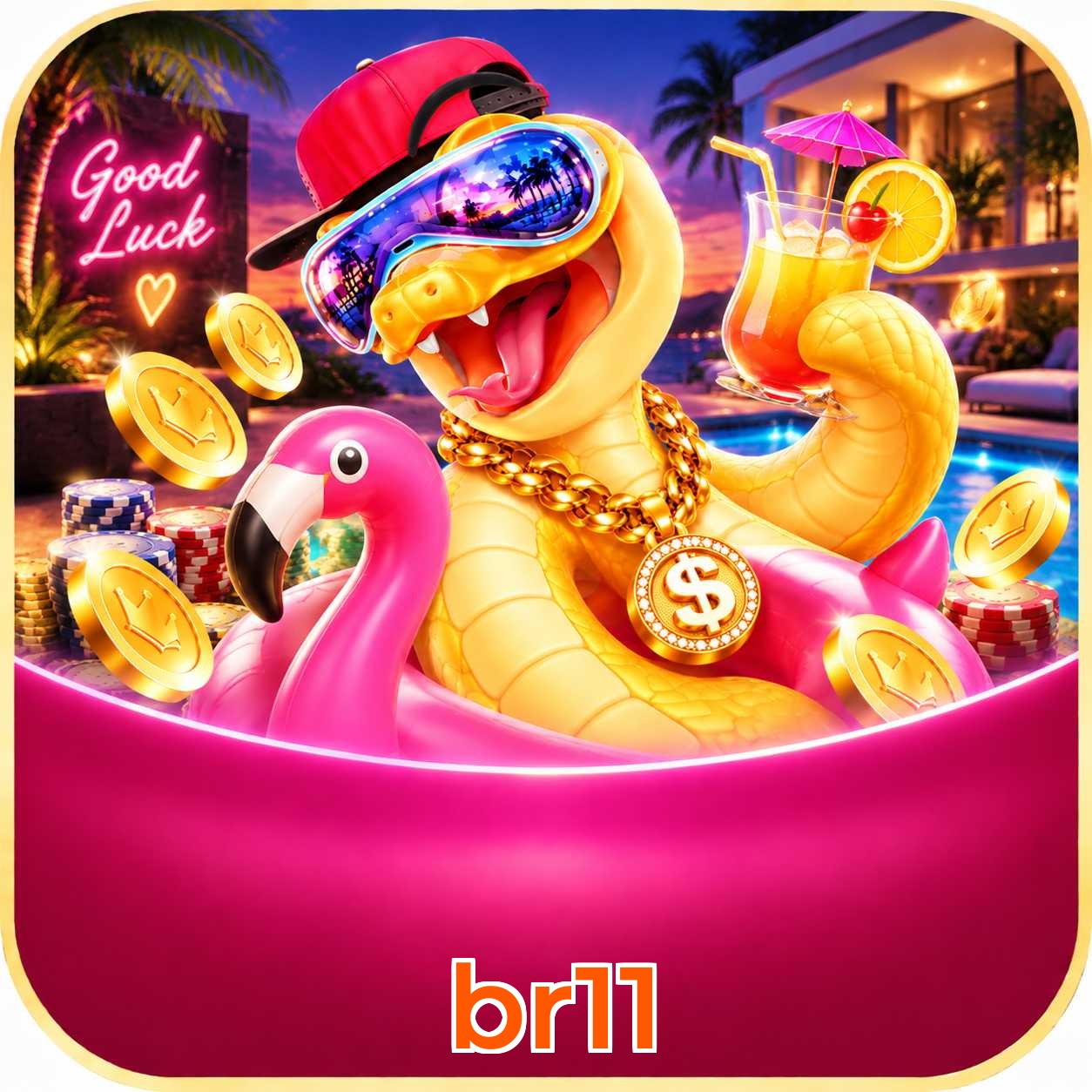 br11 Logo