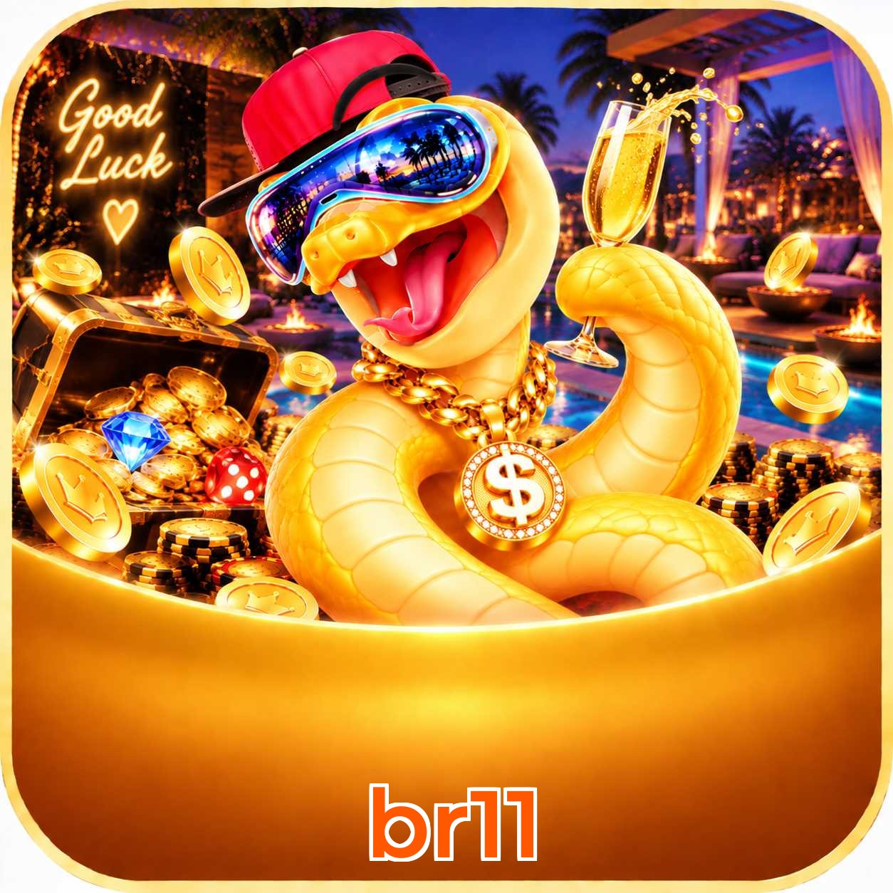 br11 Logo