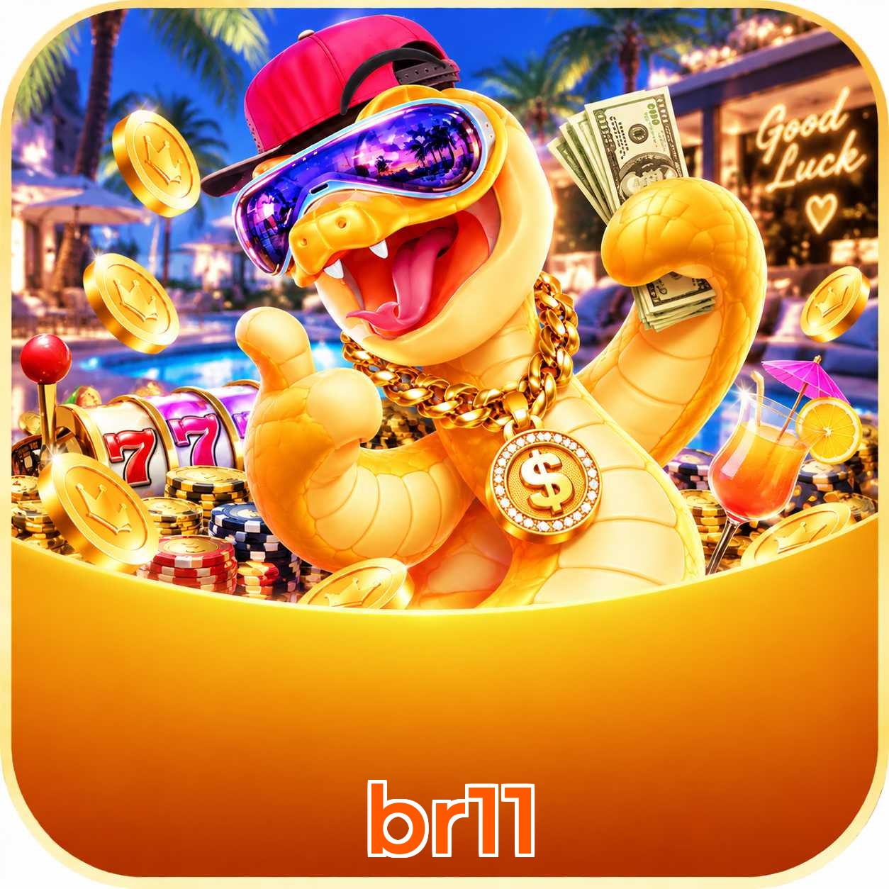 br11 App FAQ